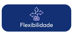 Flexibilidade